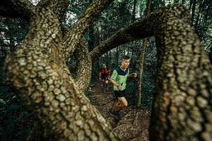 BIB: 
                            <button type="button" onclick="openModal(25669557)" class="btn btn-primary btn-sm float-right btn-popup" data-toggle="modal" data-target=".modal-high-quality">
                        <i class="fas fa-shopping-cart"></i> Add to Cart
                    </button>
                                            <button type="button" onclick="isThisMe(25669557, true)" class="btn btn-success btn-sm float-right btn-popup btn-isme hidden" data-toggle="tooltip" data-placement="bottom" title="นี่คือรูปของคุณใช่ไหม คลิกที่นี่เพื่อเอาเข้าอัลบั้ม">
                        <i class="fas fa-plus"></i> Add to album
                    </button>
                    <button type="button" onclick="isThisMe(25669557, false)" class="btn btn-warning btn-sm float-right btn-popup btn-isnotme hidden">
                        <i class="fas fa-ban"></i> Remove from album
                    </button>